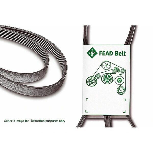 generic belt 20250726 233415 431.jpg